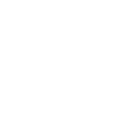 Ozini